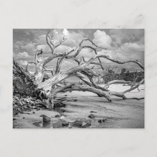 "Island Beach" Flache Notizkarte Postkarte