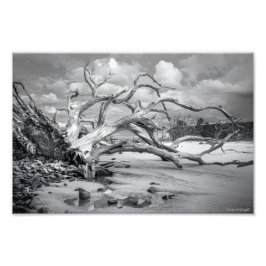 "Island Beach" Fotodruck