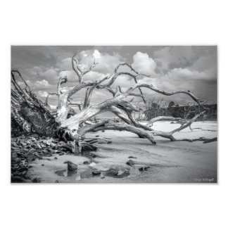 "Island Beach" Fotodruck