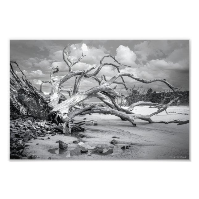 "Island Beach" Fotodruck (Vorne)