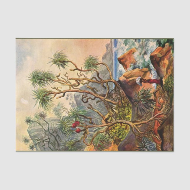 Island Ernst Haeckel Dekoupage Tissue Paper Seidenpapier (Vorderseite)