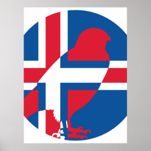 Island Falcon Gyrfalcon Island Poster