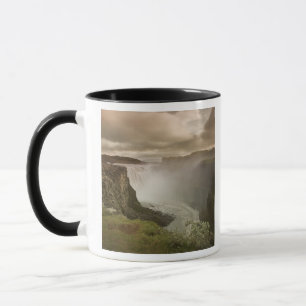 Island, Nationalpark Jokulsargljufur. Tasse