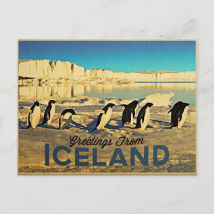 Island Pinguine Postkarte