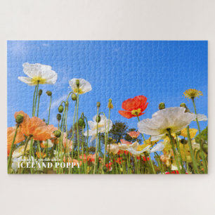 Island Poppy