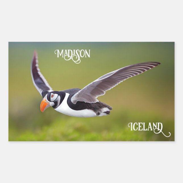 Island Puffin Individuelle Name Rechteckiger Aufkleber (Vorderseite)