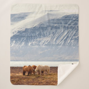 ISLAND SHERPADECKE