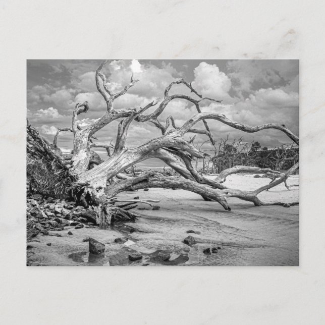 "Island Strand"  Postkarte (Vorderseite)