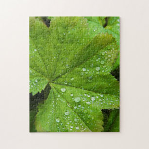 Island. Südregion. Gullfoss