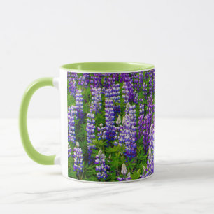 Island. Vik i Myrdal. Feld mit Lupinen Tasse