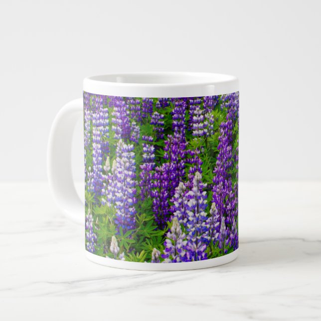 Island. Vik i Myrdal. Lupinenfeld Jumbo-Tasse (Vorderseite Links)