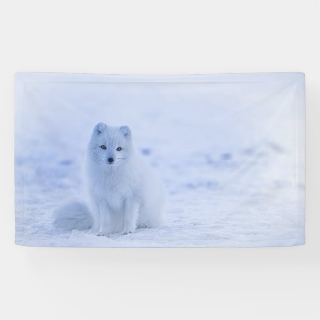 Islandarktischer Fox Banner (Horizontal)