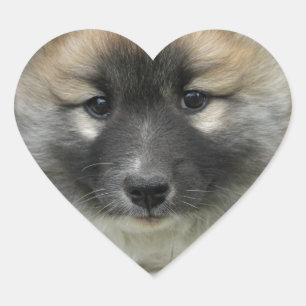 Islandhund Herz-Aufkleber