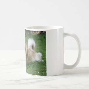 Islandhund Kaffeetasse