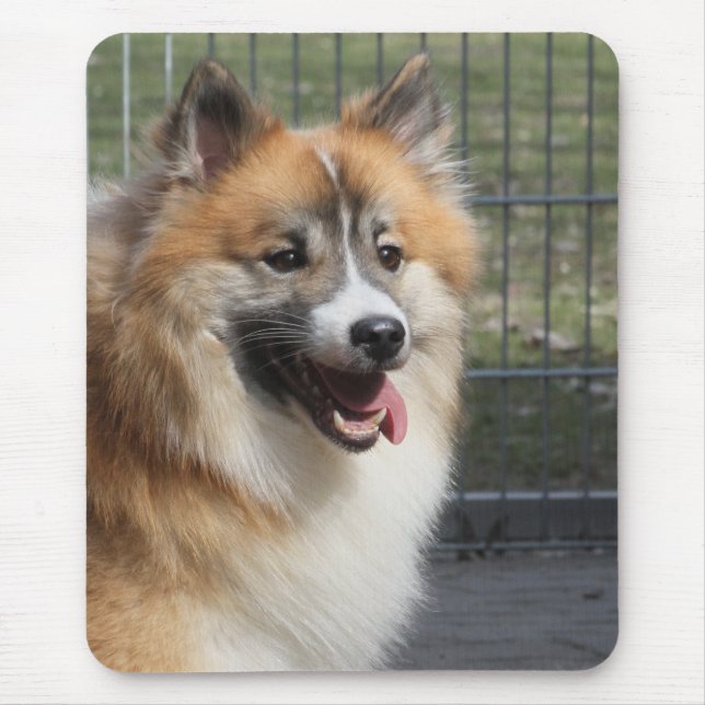 Islandhund Mousepad (Vorne)