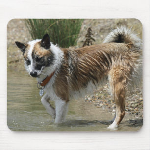 Islandhund Mousepad