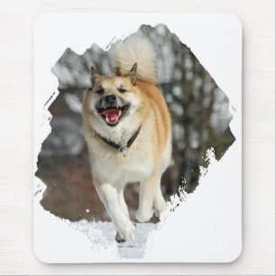Islandhund Mousepad