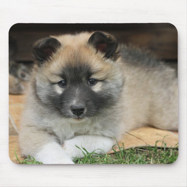 Islandhund Mousepad (Vorne)