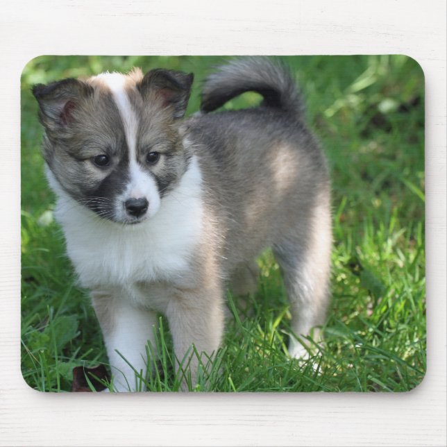 Islandhund Mousepad (Vorne)