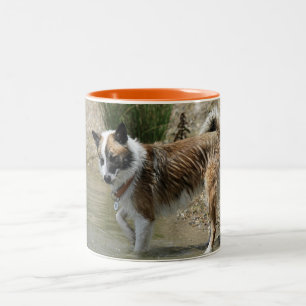 Islandhund Zweifarbige Tasse