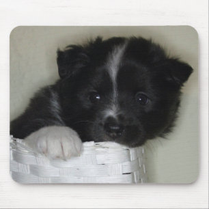 Islandhundewelpe Mousepad