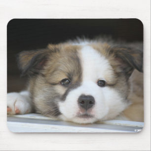 Islandhundewelpe Mousepad