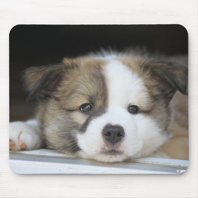 Islandhundewelpe Mousepad (Vorne)