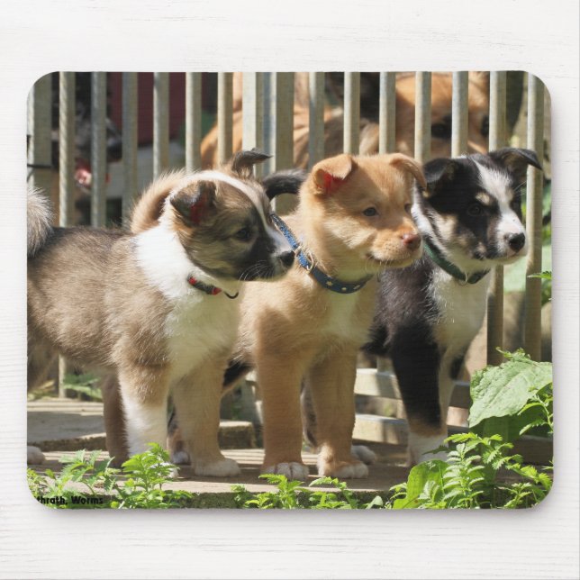 Islandhundewelpen Mousepad (Vorne)