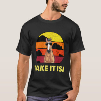 Isländisch Pferde Sweater Rider Retro nehmen es Is T-Shirt