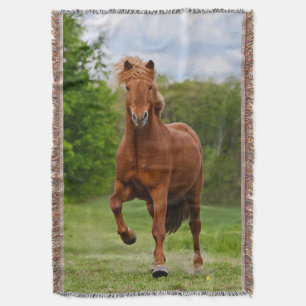Isländisch Pony läuft Tölt Funny Foto Horse Lovers Decke