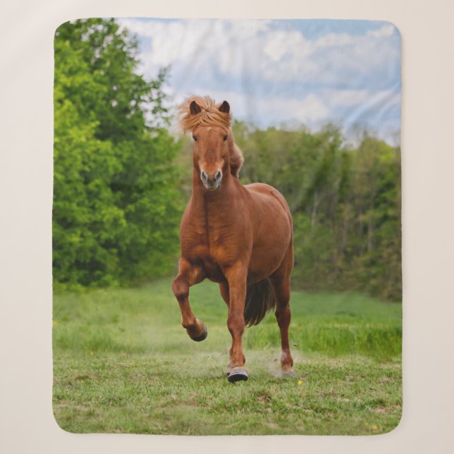 Isländisch Pony Runs Tölt Funny Foto Horse Lovers Sherpadecke (Vorderseite)