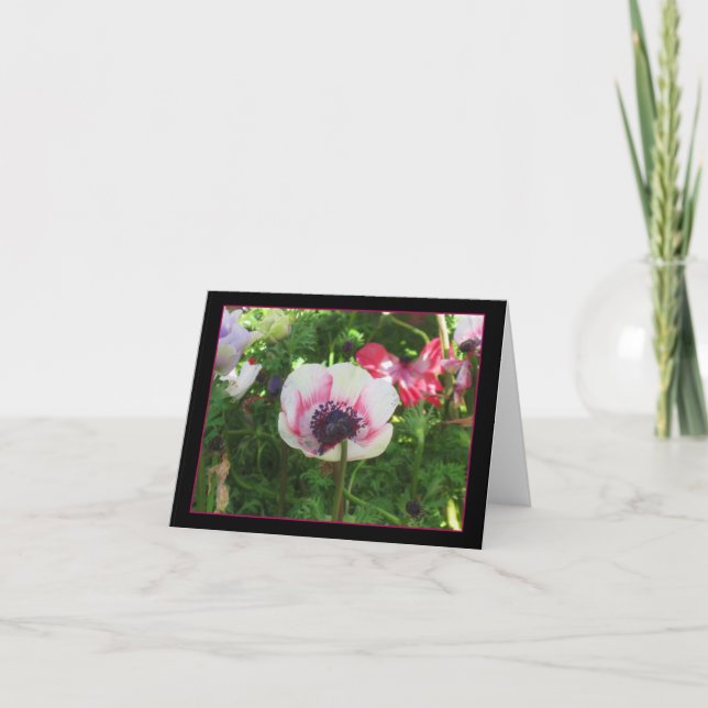 Isländisch Poppy Karte (Vorderseite)