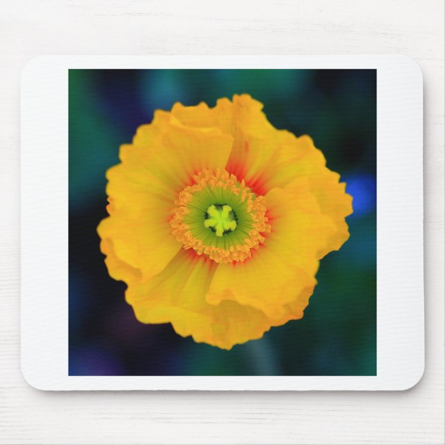 Isländisch Poppy Mousepad (Vorne)