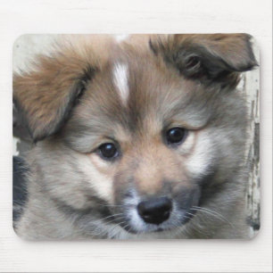 Isländisch Sheepdog 2014-0801 Mousepad