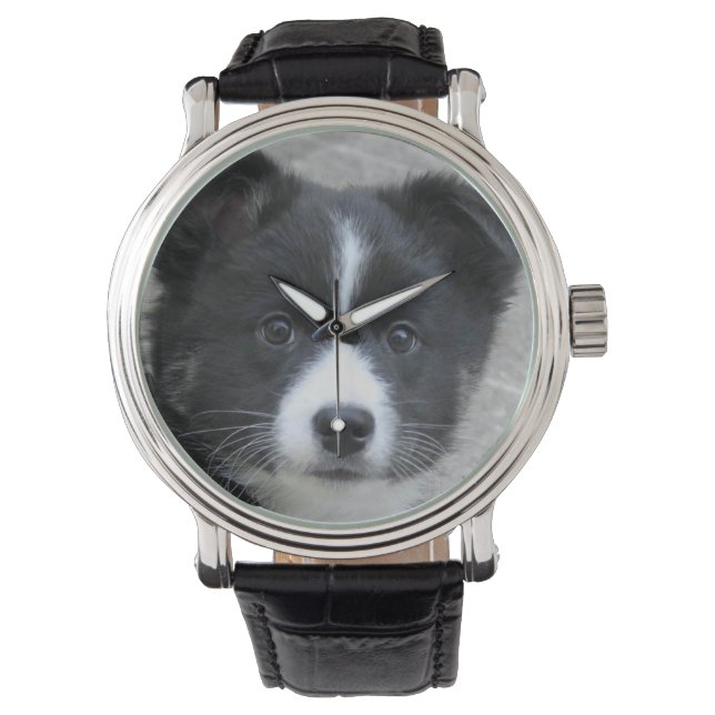 Isländisch Sheepdog 2014-0804 Armbanduhr (Vorderseite)