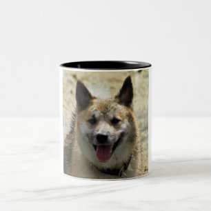 Isländisch Sheepdog 2014-0807 Zweifarbige Tasse