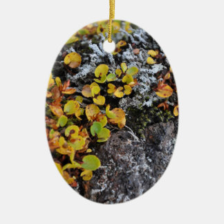 Isländische Bodendecke-Verzierung Keramik Ornament