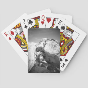 Isländische Gletscherspielkarten in Schwarz/Weiß Spielkarten