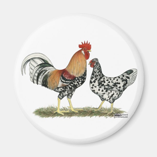 Isländische Hühner Magnet (Vorne)