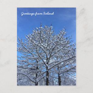 Isländische Landschaft Postkarte