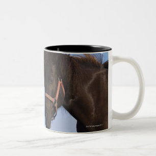 Isländische Pferde, die sich gegenüberstellen Zweifarbige Tasse