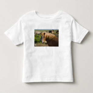 Isländische Pferde im Nordosten Islands. Kleinkind T-shirt