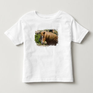 Isländische Pferde im Nordosten Islands. Kleinkind T-shirt