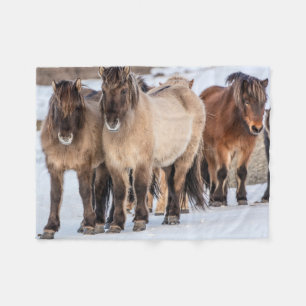 Isländische Pferde im Winter bei Höfn, Island Fleecedecke