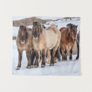 Isländische Pferde im Winter bei Höfn, Island Wandteppich