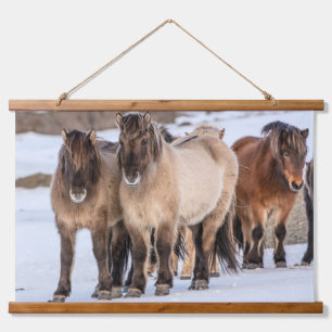 Isländische Pferde im Winter bei Höfn, Island Wandteppich Mit Holzrahmen