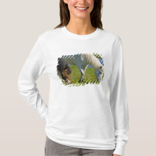 Isländische Pferde in Western Island. T-Shirt