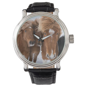 Isländische Pferde-Nussbaum, Island Armbanduhr