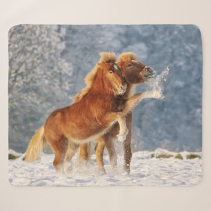 Isländische Pferdefoals im sonnigen Foto Sherpadecke