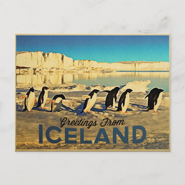 Isländische Pinguine Postkarte (Vorderseite)
